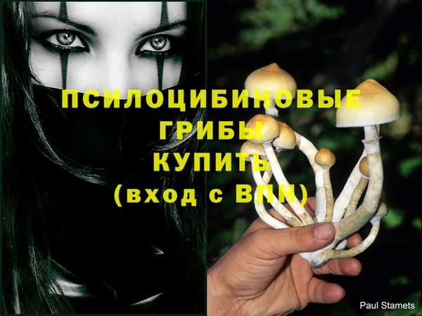мдма Володарск